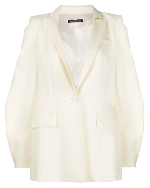 WANDERING Multicolor Balloon-Sleeve Blazer