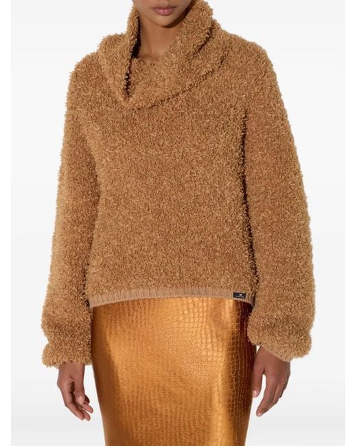 Elisabetta Franchi Brown Pull En Polaire
