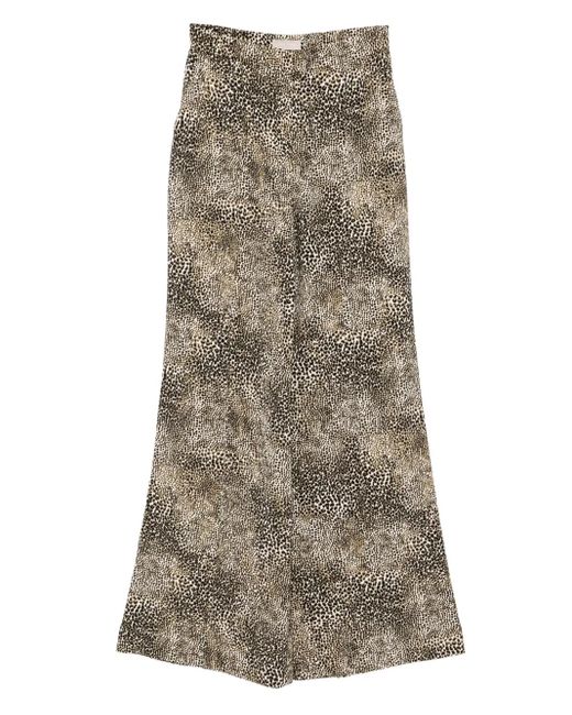 Elie Saab Brown Printed Palazzo Pants