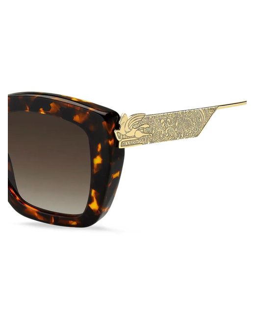 Etro Brown Curved Acetate Pegaso Sunglasses