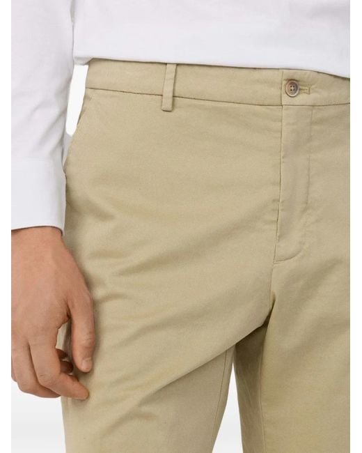Hackett Natural Short Chino Sanderson for men