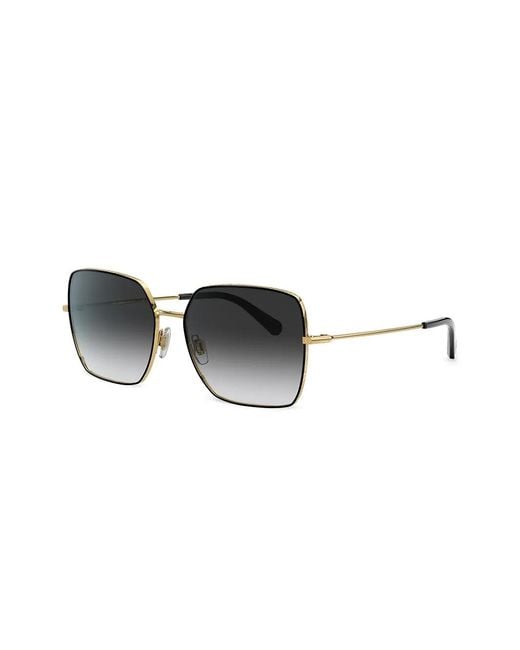 Dolce & Gabbana Black Logo Frame Sunglasses
