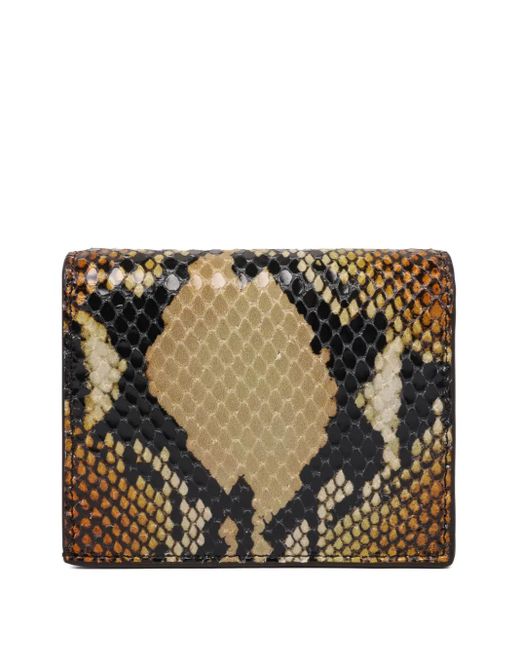 Portafoglio Con Stampa di Alexander McQueen in Black