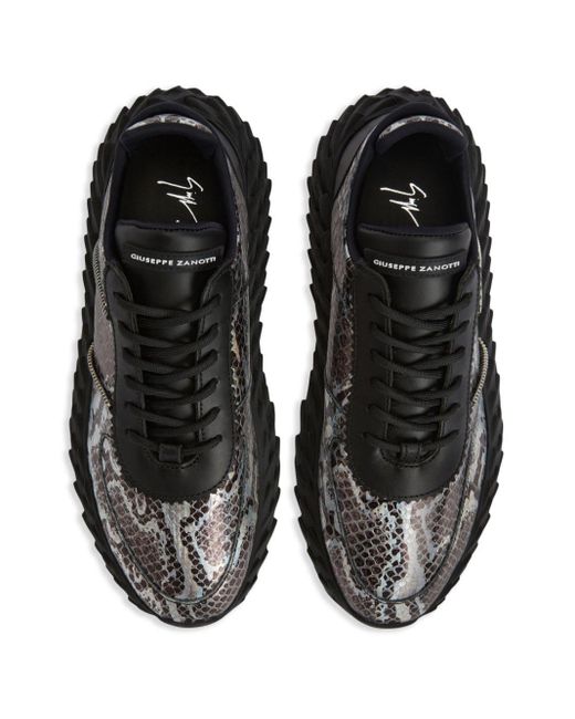 Giuseppe Zanotti Black Urchin Snakeskin-print Leather Sneakers for men
