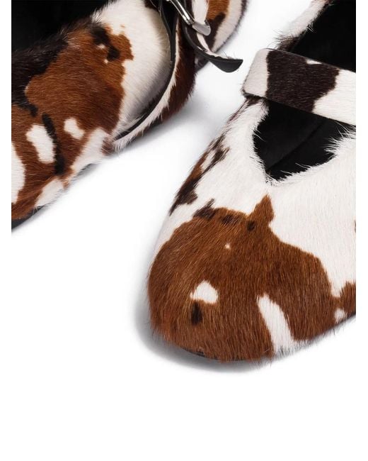 Le Silla Brown Danielle Ballet Flats