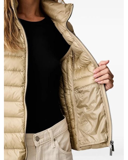ARMANI EXCHANGE Natural Quilted High-Neck Gilet