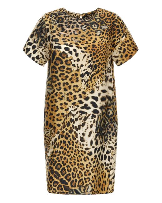 Robe Courte À Imprimé Léopard Roberto Cavalli en coloris Metallic