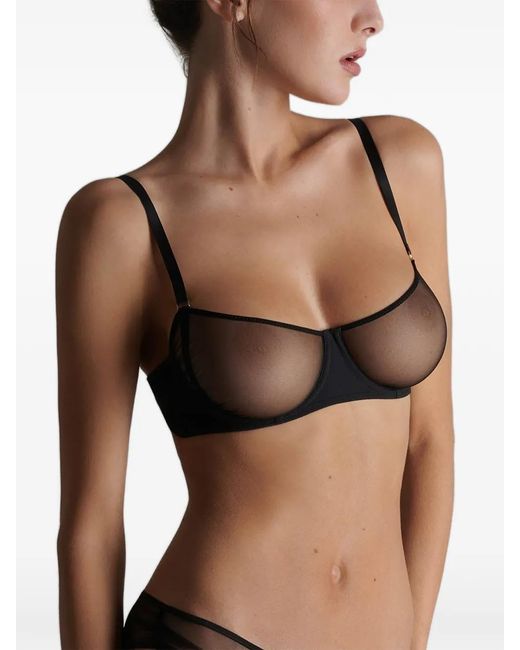 Scandale Black Nuit Fauve Mesh-Panel Bra