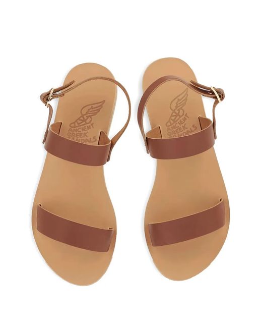 Ancient Greek Sandals Brown Clio Flat Sandals