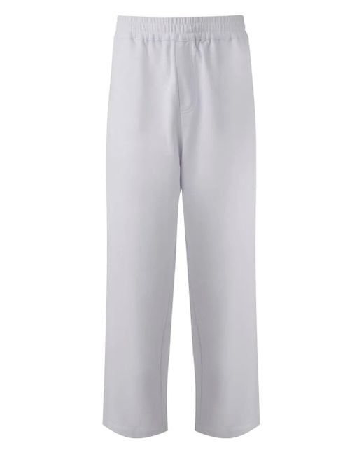 MISCI Filtro Jogginghose in Gray für Herren