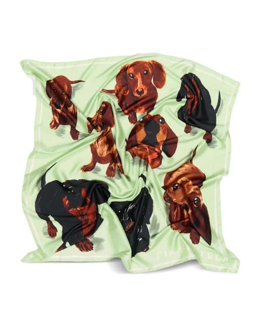 Bimba Y Lola Green Schal Mit Hundeprint