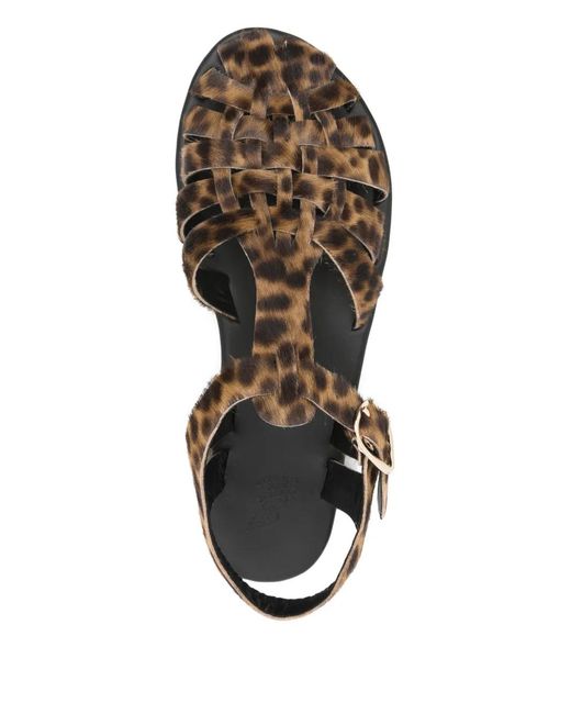 Ancient Greek Sandals Brown Karina Pony Cage Sandals