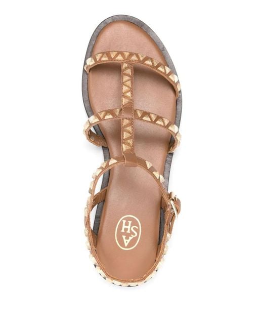 Ash Brown Polinesia Sandals