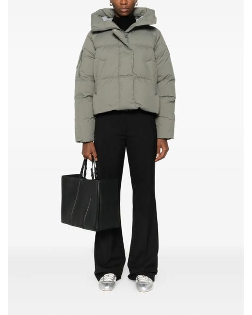 Canada Goose Gray Chilliwack Padded Puffer Jacket