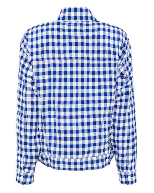 Chocoolate Blue Checked Shirt