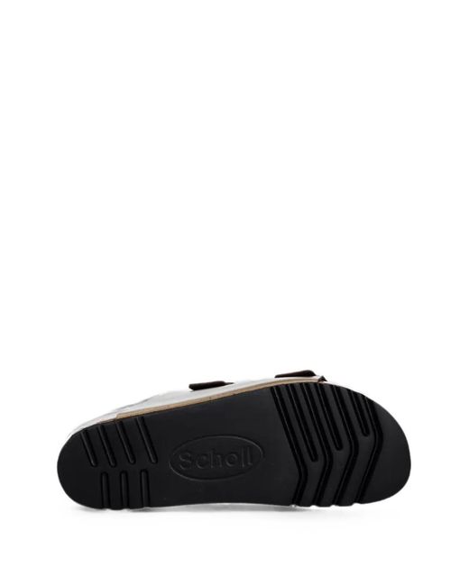 Scholl Brown Josephine Buckle-Fastening Slides