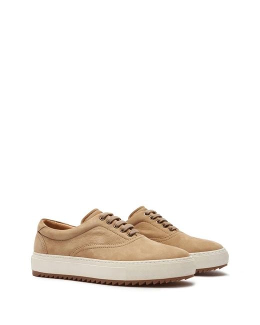 Scarosso Brown Luis Sneakers for men