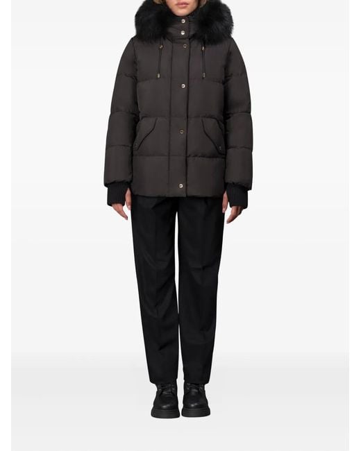 Moorer Black Attica Puffer Jacket