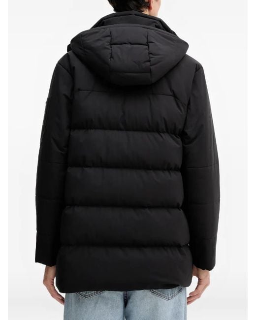 Veste Matelassée À Capuche Boss pour homme en coloris Black