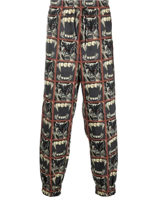 メンズ Roberto Cavalli プリント トラックパンツ Black