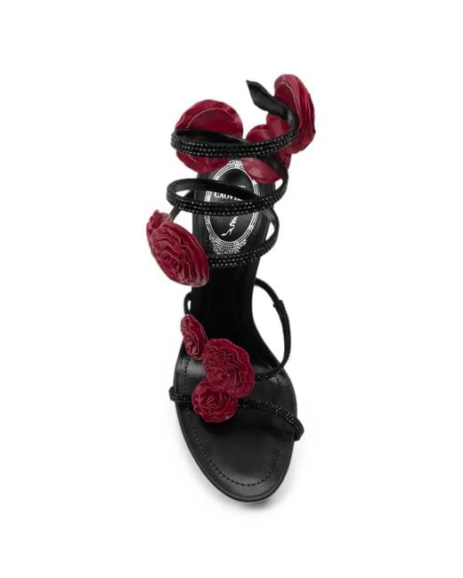 Rene Caovilla White Rosalia Floral-Embellished Sandals