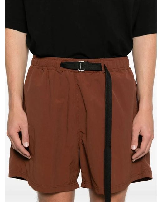 Paura Brown Harlem Shorts for men