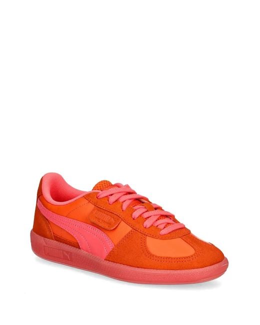 PUMA Red Baskets Citrus