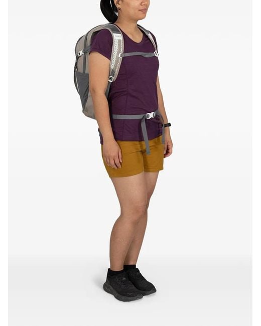 Osprey Blue Daylite Plus Backpack
