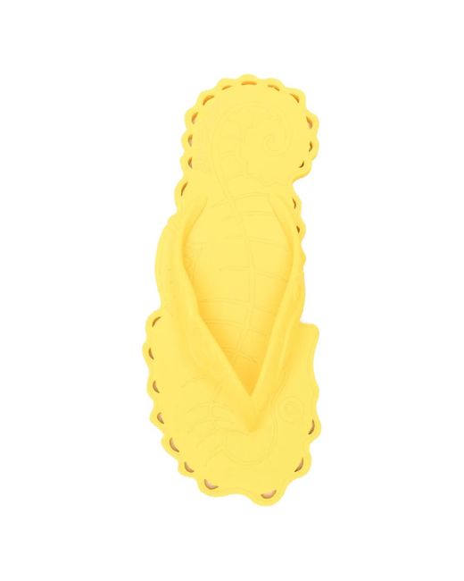 Zimmermann Yellow Seafoam Thong Sandals