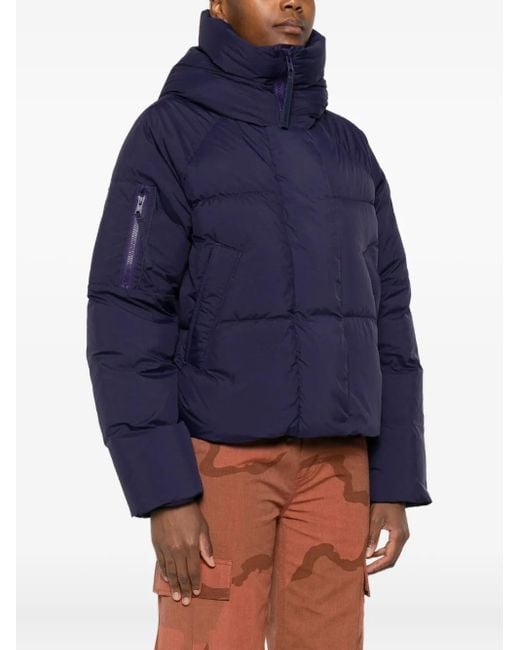 Canada Goose Blue Jackets