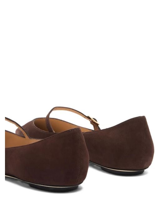 Stuart Weitzman Brown Emilia Pointed-Toe Ballet Flats