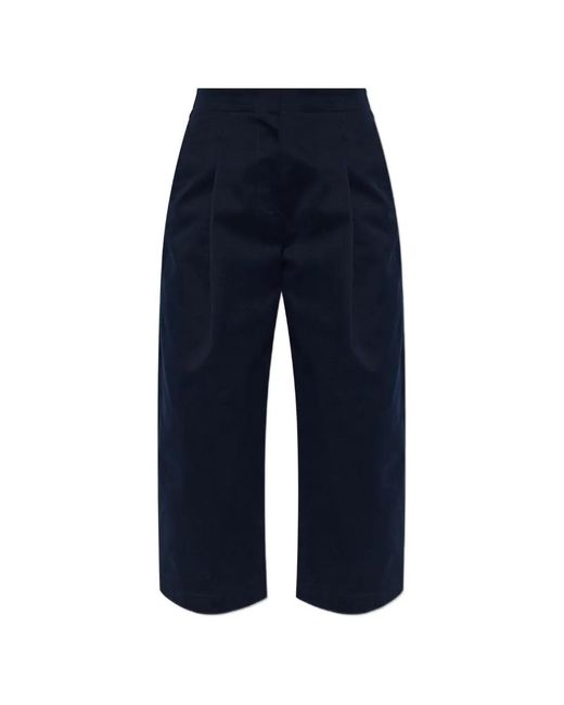 Studio Nicholson Blue Dordoni Pleated Cotton Trousers