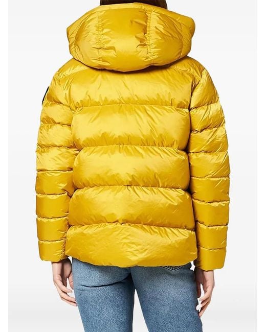 Blauer Yellow Hooded Puffer Jacket