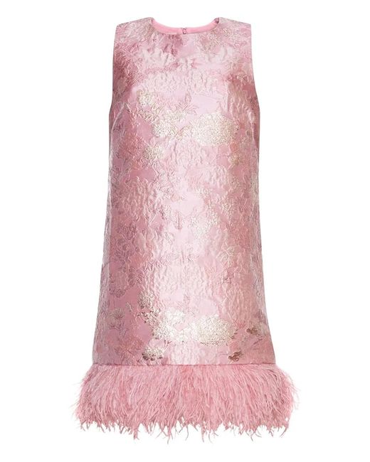 Cara Cara Pink Belmond Dress