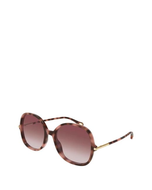 Chloé Purple Tortoiseshell-Effect Round-Frame Sunglasses