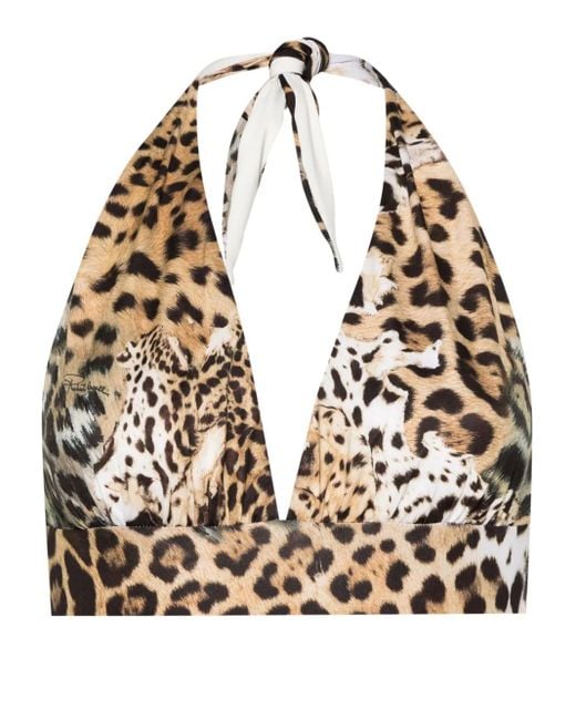 Roberto Cavalli Natural Jaguar Skin-Print Bikini Top