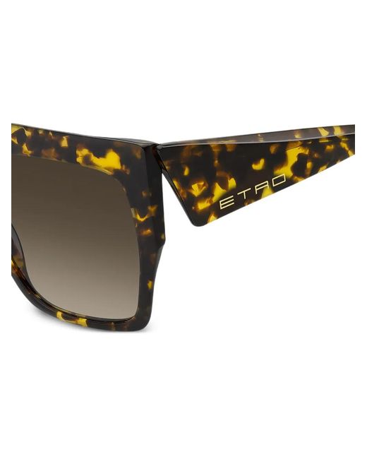 Etro Brown Sunglasses