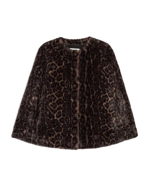 Apparis Black Sloan Leopard-Print Cape
