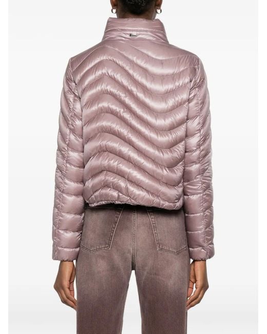 Chaqueta Acolchada Con Cremallera Herno de color Pink