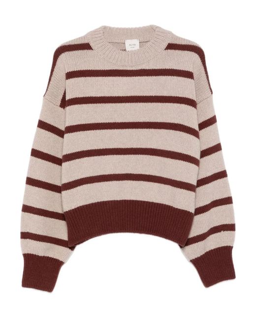 Alysi ストライプ セーター Brown