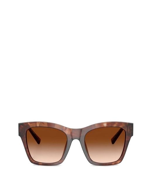 Dolce & Gabbana Brown Havana Square Sunglasses