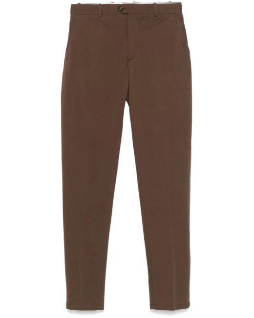 Circolo 1901 Brown Slim Chinos for men
