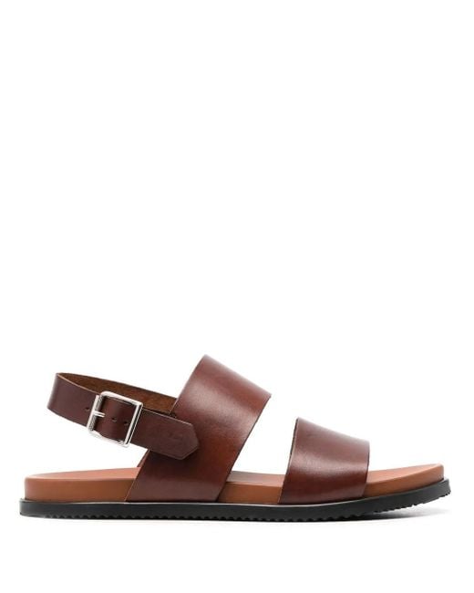 Scarosso Brown Antonio Slingback Leather Sandals for men