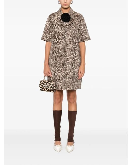 Liu Jo Natural Leopard-Print Button-Front Dress