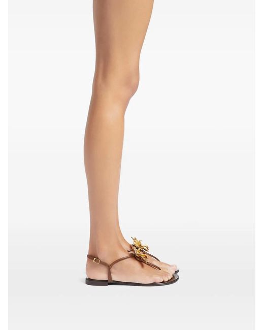 Giuseppe Zanotti Brown Orchid Sandals