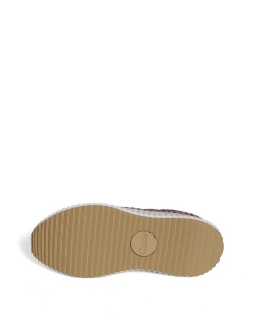 Chloé Brown Nama Lace-Up Sneakers