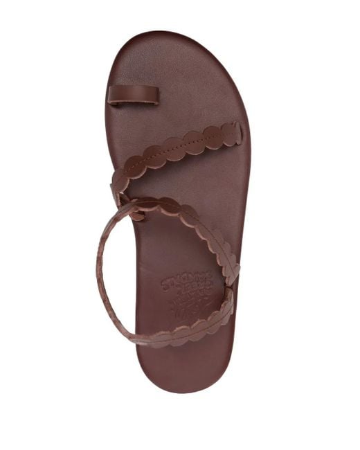 Ancient Greek Sandals Brown Multi-Strap Leather Sandals