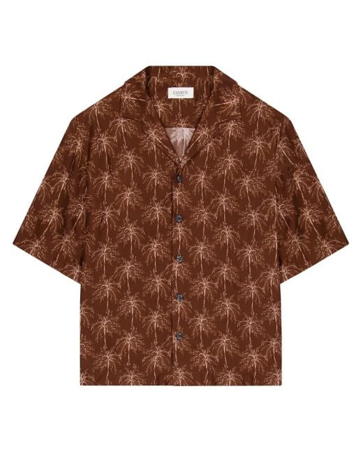 Laneus Brown Palm-Trees Shirt