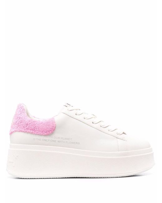ash vertu trainers