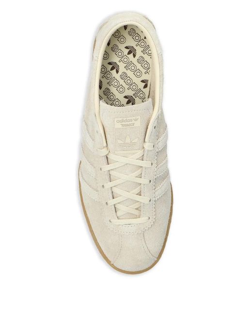 Adidas White Tobacco Suede Low-Top Sneakers